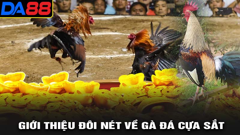 Giới thiệu đôi nét về đá gà cựa sắt